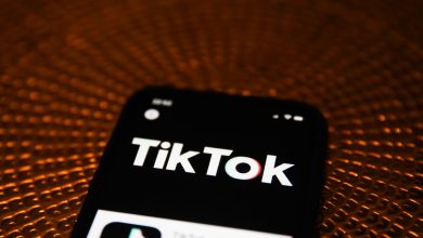 tiktok-didn’t-need-you-to-glimpse-gruesome-or-wretched-of-us-on-its-app