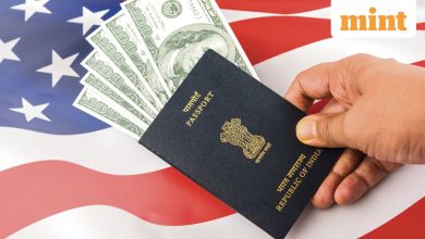 India’s share in US H1-B visas hit a low of a decade last year