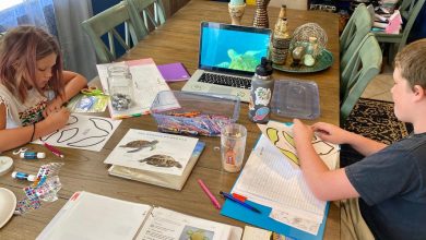 i-believed-these-5-misconceptions-about-homeschooling-i-used-to-be-sinister.