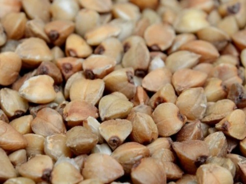 Is there a forgery in your Kuttu meal?