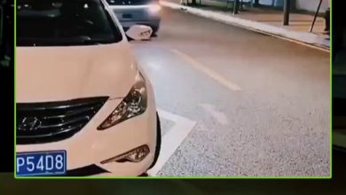 ابتكار صيني جديد في النقل الحضري.. حافلة ذكية بالكامل بلا سائق أو عجلة قيادة، تعمل على مدار…