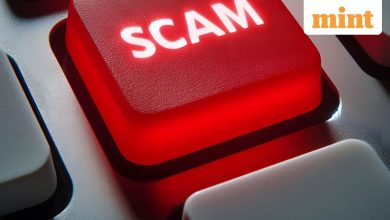 Hackers flood the internet with false fifa 2026 sites – here’s what to look after for