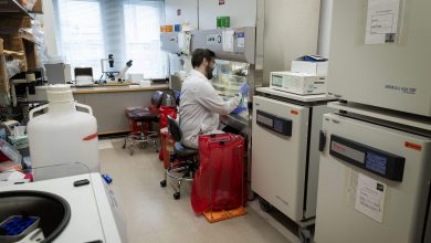 A QUEST TO END BREAST CANCE SLOWS AS THE TRUP-HARVAR DRAGS ON – ryan