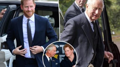 inner-prince-harry’s-fifty-three-minute-mets-finger-charts