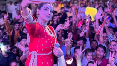 Akshara Singh spread in Dandiya Night, shared video on social media