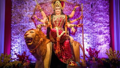 Why do people call the goddess Stotram in Navratri? If you know the divine benefits in the video you will start singing too