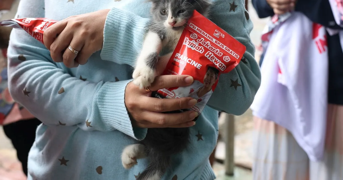 Study: Raw cat food holds risks for pets and breeders in