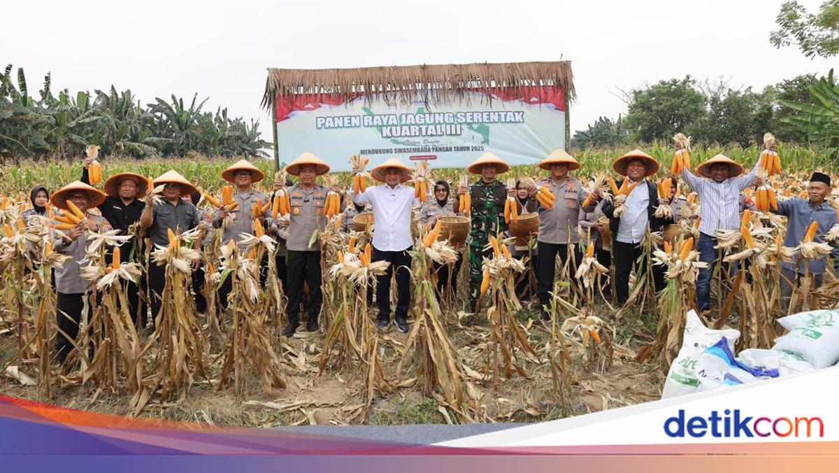 Support food security, Banten polda plant wheat in 1.772 hectares of land