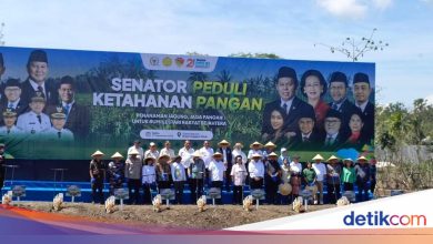 Wheat planting in NTT, DPD Ri Kawal Asta Cita President in the Food Field