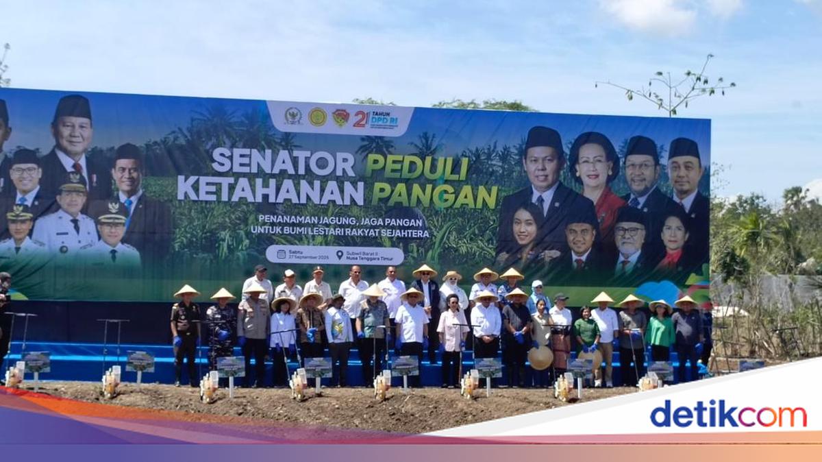 Wheat planting in NTT, DPD Ri Kawal Asta Cita President in the Food Field
