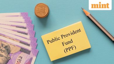 PPF: Here are 5 lesser -known facts about the savings scheme supported by the government