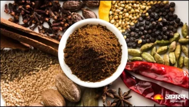 UP NEWS: Preparation was to consume false vegetables in festivals, the food department seized 152 kg – Lucknow News seized food products seized by factories in Chinhat