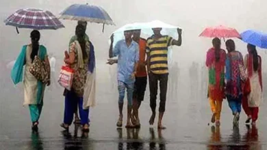 Bihar Weather Today: Today there will be rimjhim showers again, there will be more rain in Bihar, know what the weather will be in your city – Bihar Weather Update: Light Rains expected in Bihar today, what is the weather forecast for Bhagalpur, Purnia, K