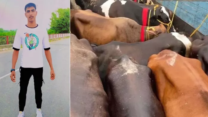 Jubair was in the Rampur Court in court of surprise, before police made a stack – Gorakhpur News Nutorious Cattle Smuggler Zubair died in Rampur Encounter