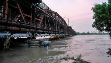 Record rains in Delhi cleaned Yamuna’s water, washed away dirty with flooding; This time the situation is better – Yamuna river pollution levels drop in Delhi after rain