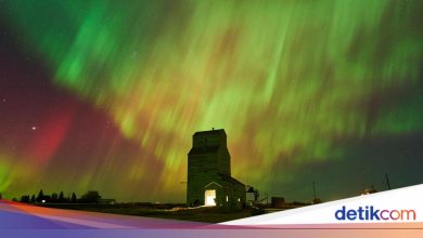 List of astronomical phenomena in October 2025 and its schedule