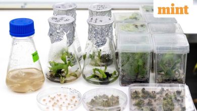 India’s new velocity centers to deliver faster improved seeds