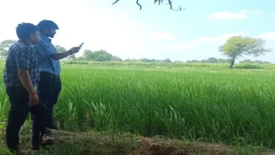 Action was sought by issuing action against 237 Panchayat Assistants who did not take up crop recording in this district UP, Agri Stack Survey hit by Panchayat Assistant Negligence in Balrampur