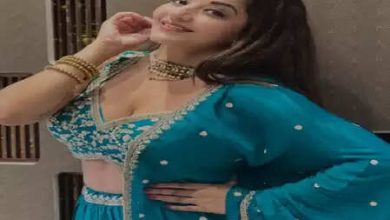 Monalisa’s traditional avatar on Navratri, Limelight was looted in Lehenga