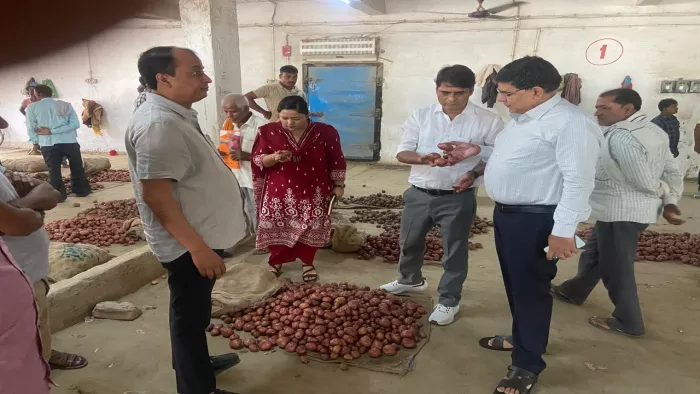 Raid of Food Division in Barabanki, fake potatoes worth thousands of rupees from cool storage – Barabanki Food Safety Drive Awultered Food seized FSDA