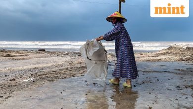 Typhoon Bualoi: Vietnam’s Aviation Authority suspends operations at 4 airports, thousands evacuated
