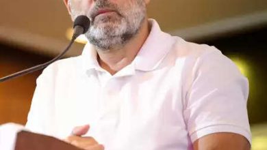 Rahul Gandhi is concerned about Karur Stampede, calls CM Stalin