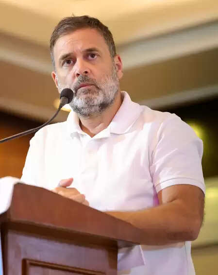 Rahul Gandhi is concerned about Karur Stampede, calls CM Stalin