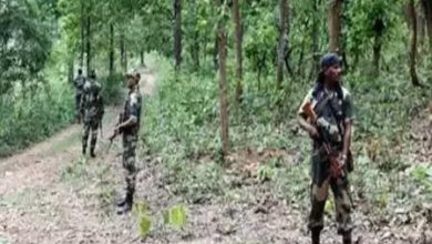 Three stacks, including the top Maoist commander Shravan in Chhattisgarh Encounter