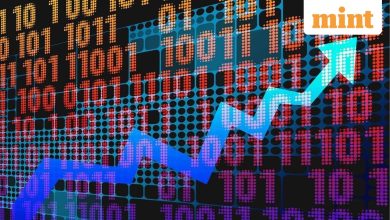 MultiBagger shares: Force Motors to JSW Holdings -10 shares that doubled investor money in a year despite Trump tariffs