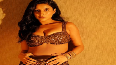 Shahnaz Gill was happy with the success of ‘Khand Lagdi’ song, looted fans