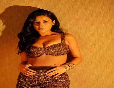 Shahnaz Gill was happy with the success of ‘Khand Lagdi’ song, looted fans