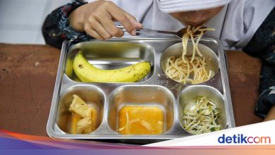 The legislature agrees that the free nutritional chef should have experience