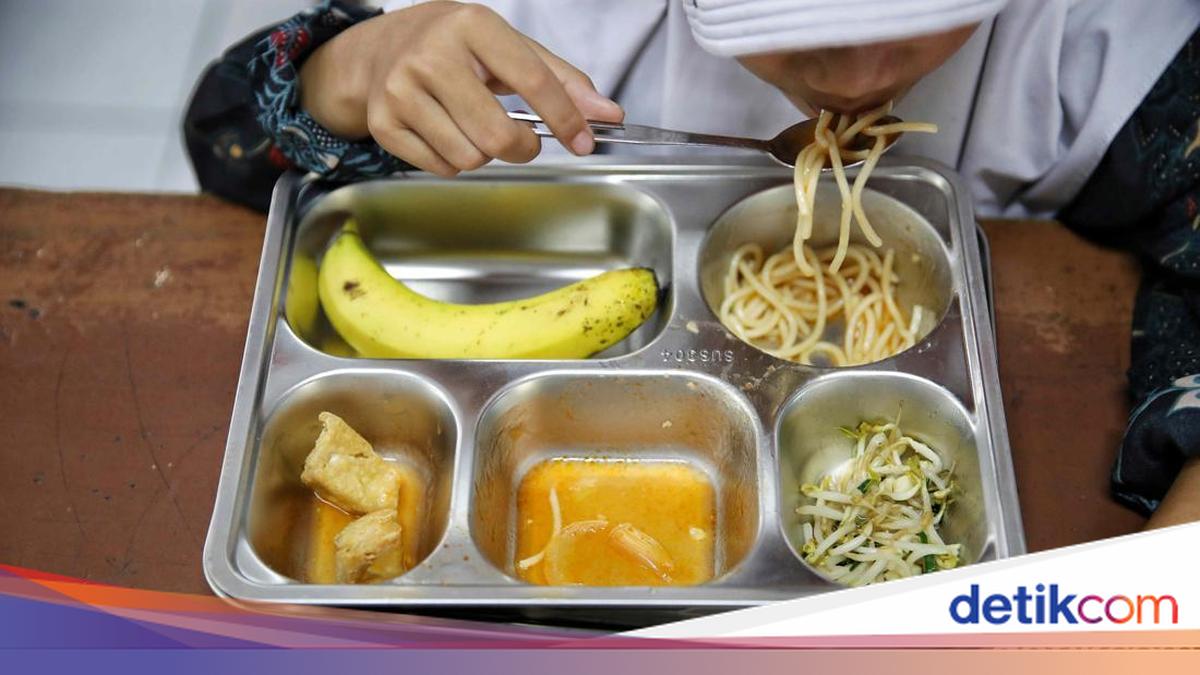 The legislature agrees that the free nutritional chef should have experience