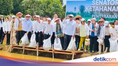 Support Food Security, DPD launches Food Care Senator in Bengkulu