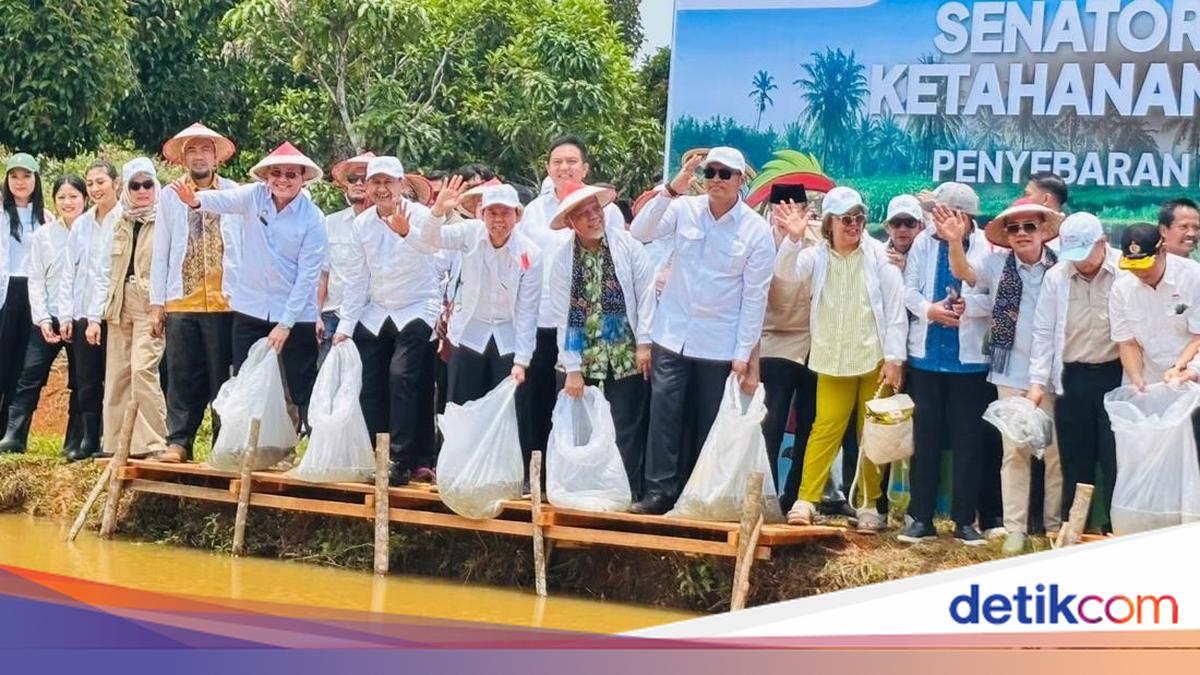 Support Food Security, DPD launches Food Care Senator in Bengkulu