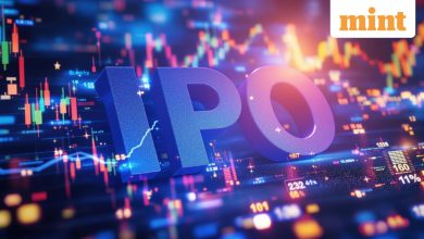 Why do IPOs become a high-growth entrance point for investors?
