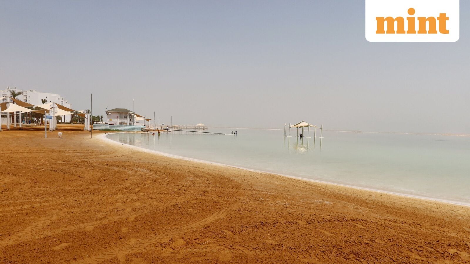 How old are the Dead Sea Roles? An AI model can help
