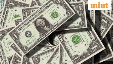 From shapes to fast lanes: a bold plan to cut FDI’s adherence red tape