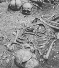 Africa: Where the story of people began