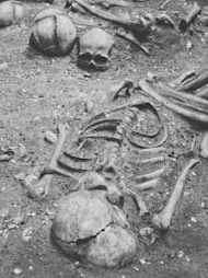 Africa: Where the story of people began