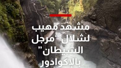 كأنه “قدر يغلي بالماء”.. إماراتية توثق مشهدًا مهيبًا لشلال “مرجل الشيطان” بالإكوادور. التالي