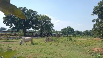 PRAYAGRAJ NEWS: Mining rental near Goshala, threat to the life of 123 irregular due to explosion, villagers upset – the lease near Cowshed threatens cattle in Prayagraj