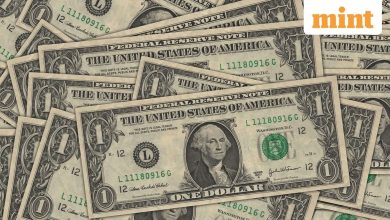 Social certainty to terminate paper investigations on September 30 – here is how to receive benefits