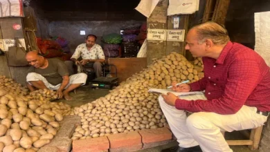Be careful, do not harm your health, chemical potatoes – be careful, potatoes containing chemicals can harm your health.