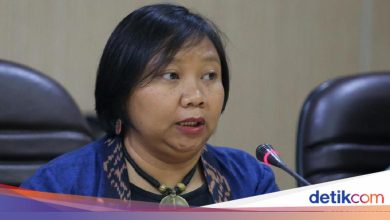 Komnas Human Rights examine the potential violation of human rights in the MBG poisoning case