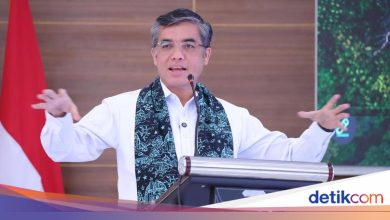 Government starts 6 month internship programs for new graduates
