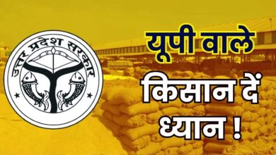 Kharif Marketing Year 2025-26: Paddy purchases start from October 1 in Western Up, start from November 1 in East Up