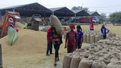 Good news! Paddy purchases start in Hoshiarpur Mandis, farmers get incredible facilities -Paddy purchases start in Hoshiarpur Mandis farmers get incredible facilits