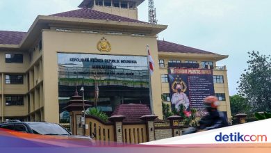 Aipda M Rohyani Passenger Rantis Lindas Ojol Affan has been approved