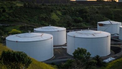 Oil prices in the region are falling amid surplus fear with OPEC+increases